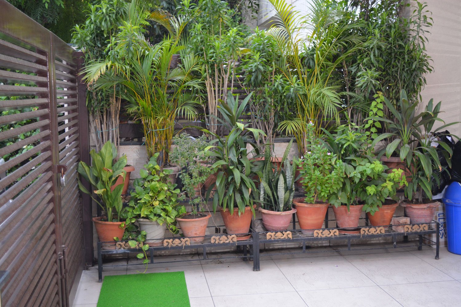 takkar-dental-clinic5